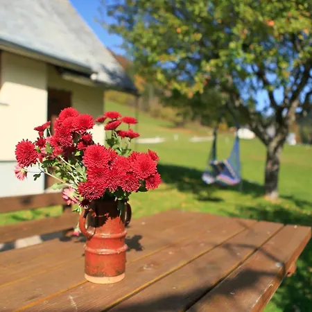 Zoja Prázdninový dům Bohinj