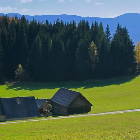 Zoja * Bohinj